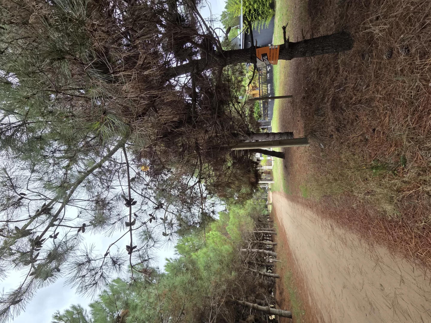 Terreno en Lucila del Mar - Gran Lote en el Pinar 15 x 54 (ID 93)